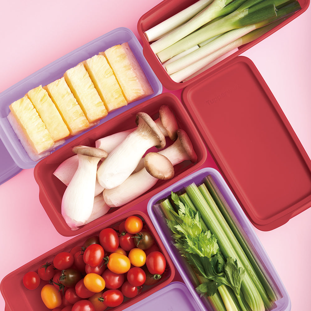 프레시 세이버 2.2L(4개) 진빨강