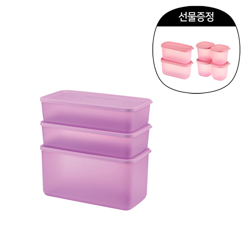 [미니 6종 증정] 싱싱 블록 직사각 세트 (6개)