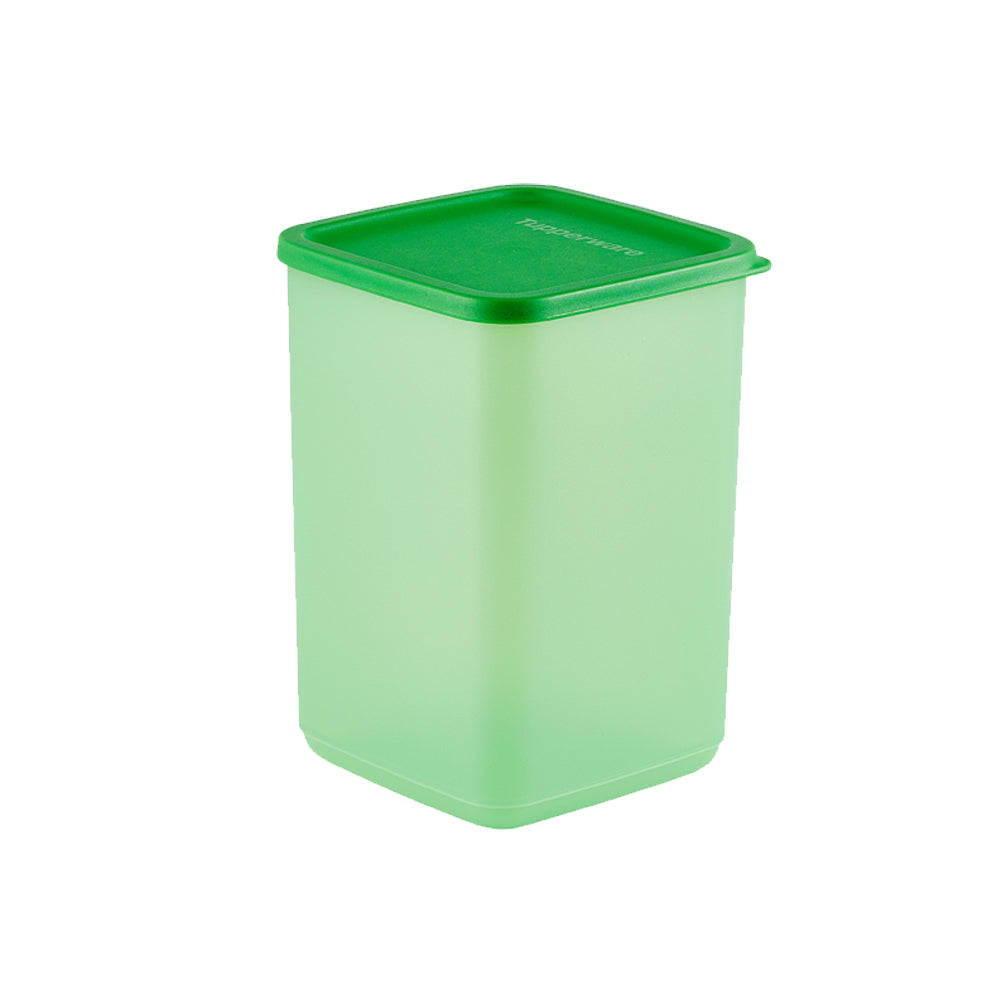 싱싱 블록 2.2L 초록